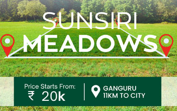 Sunsiri Meadows – Ganguru